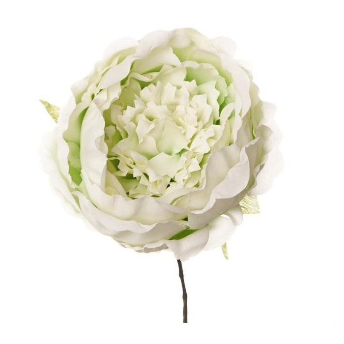 PICK PEONIA D 7 CM GREEN